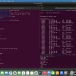 ASM[03] — [x86-64] Assembly Language: Understanding Instructions, Registers and the read Syscall